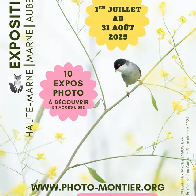 Balade photos nature