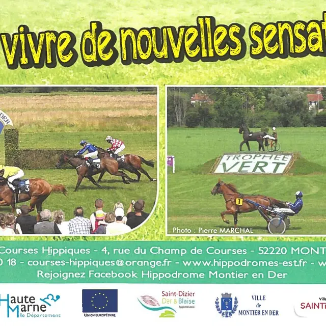 Courses hippiques