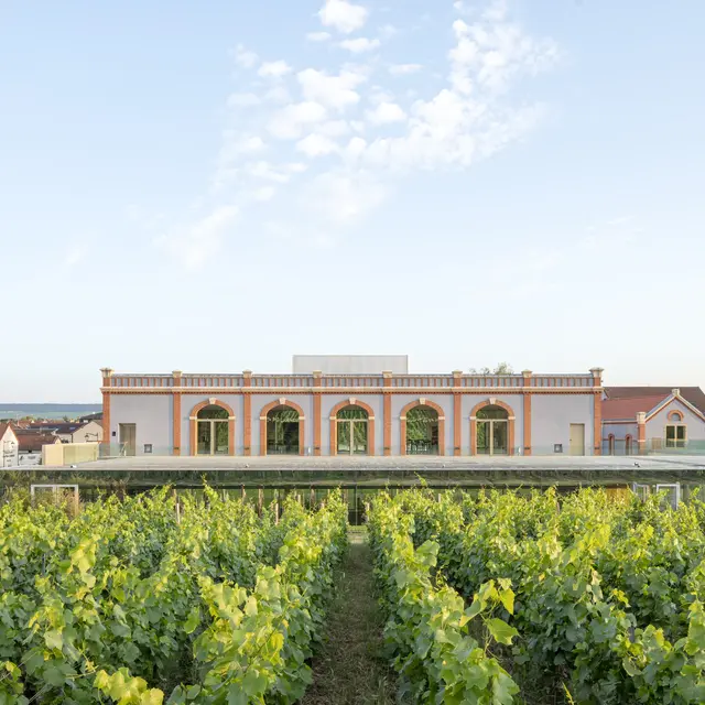 Pressoria - Ay-Champagne