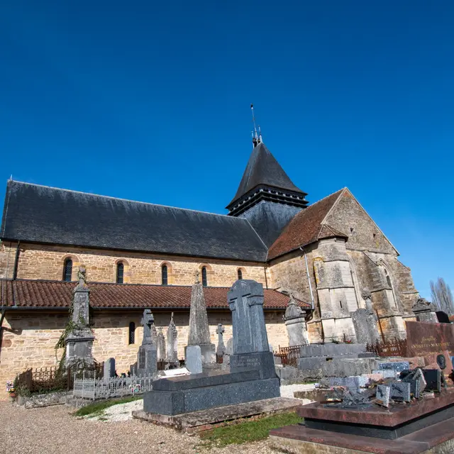 Droyes Eglise - Jean Luc Pfifferling (7)