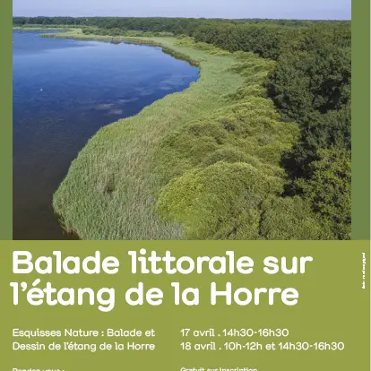 Balade Littorale sur l'étang de la Horre