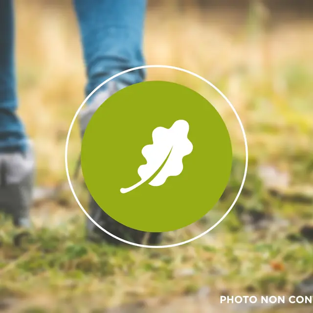 Guide_nature_web_LacduDer