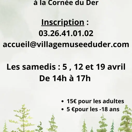 Randonnée sylvohérapie