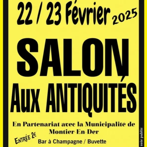 SALON DES ANTIQUAIRES