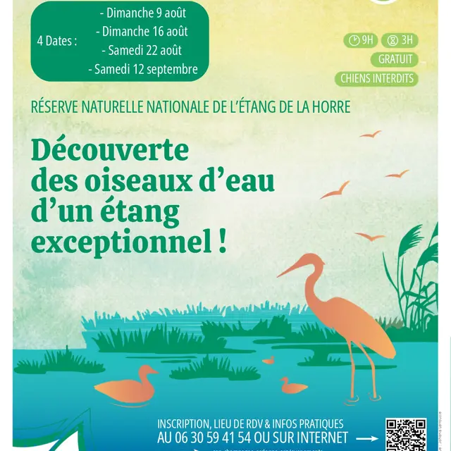 Sorties Nature de l.été - RNN Etang de la Horre_page-0001
