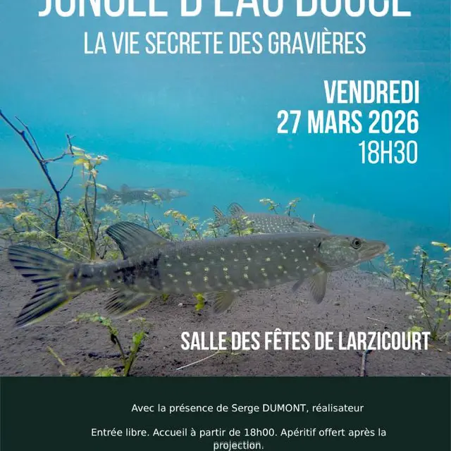 affiche_projection_jungle_deau_douce