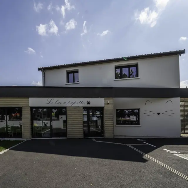 bar-a-papattes-chalons-en-champagne