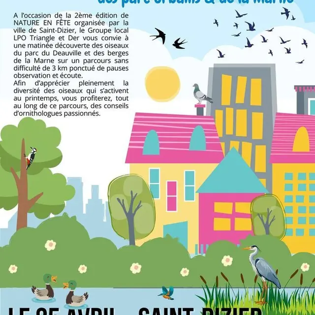 A l'écoute des oiseaux