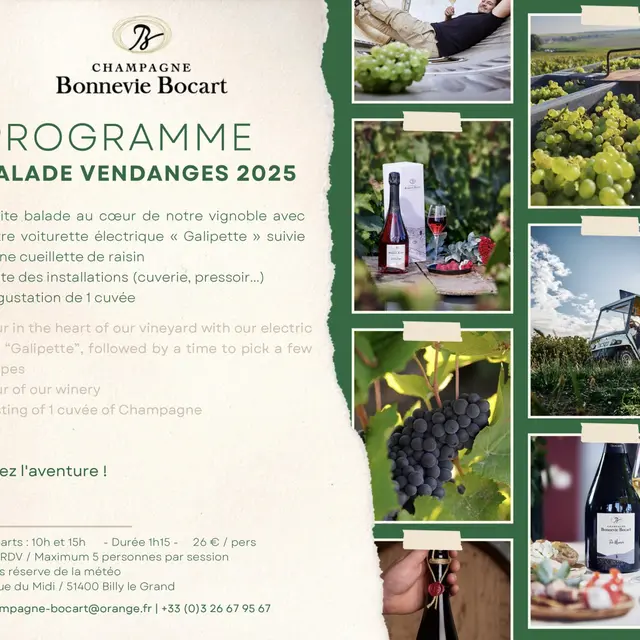 champagne-bonnevie-bocart-vendanges-2025