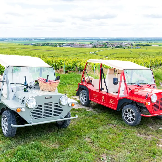 champagne-baron-dauvergne-immersion-vendanges