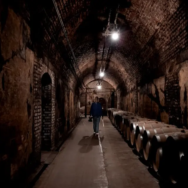 champagne-guy-charbaut-caves