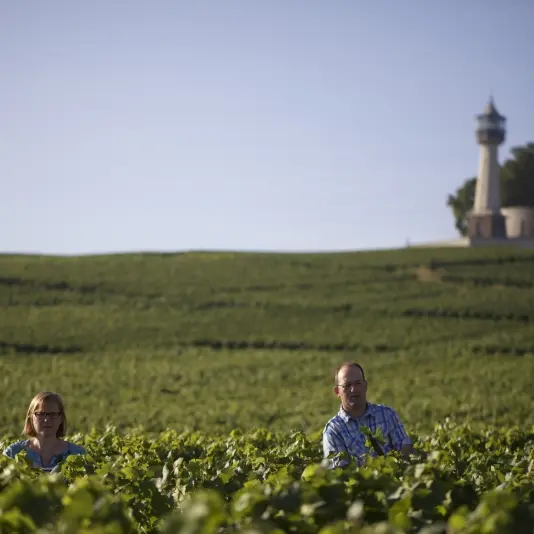 champagne-mouzon-verzenay-vignes