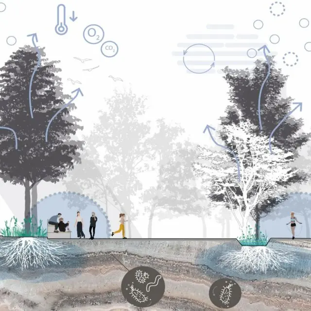 conférence sur le sol