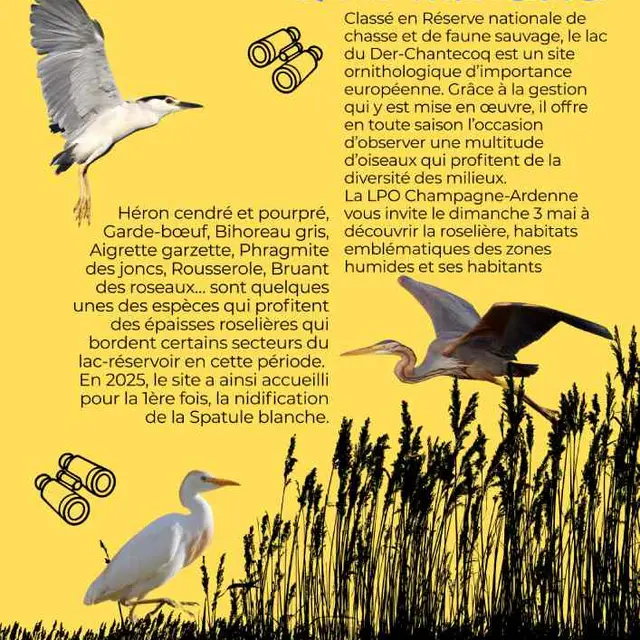 ecl_sortie_roseliere_2026