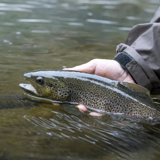 federation-de-la-peche-marne-1