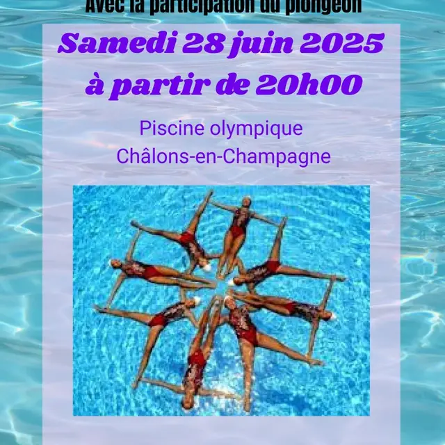 gala-natation-artistique-nec-chalons