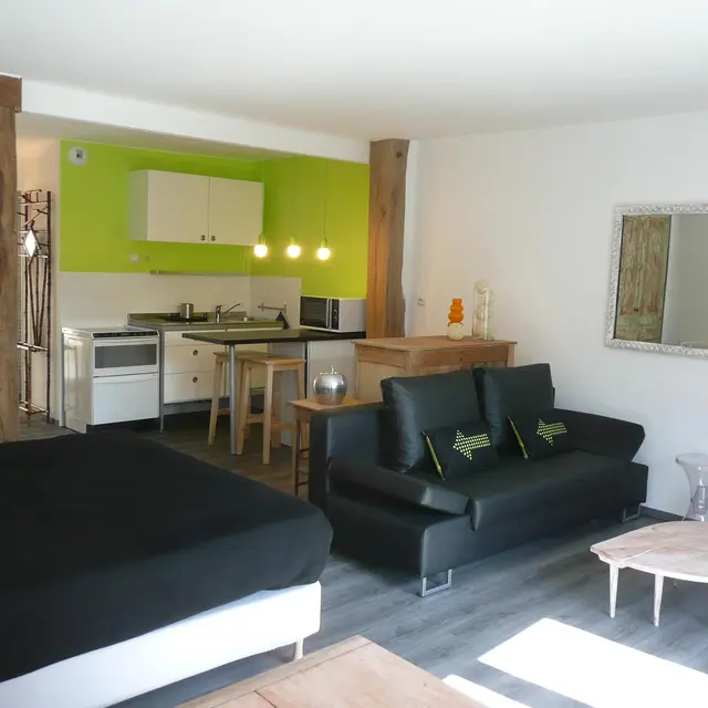 gite-la-canopee-chalons-chlorophylle-salon