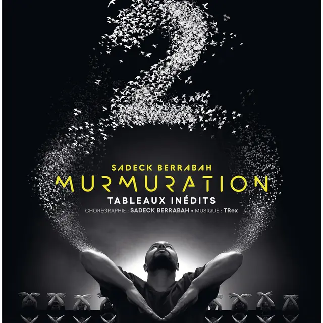 murmuration-level-2-capitole-chalons-en-champagne