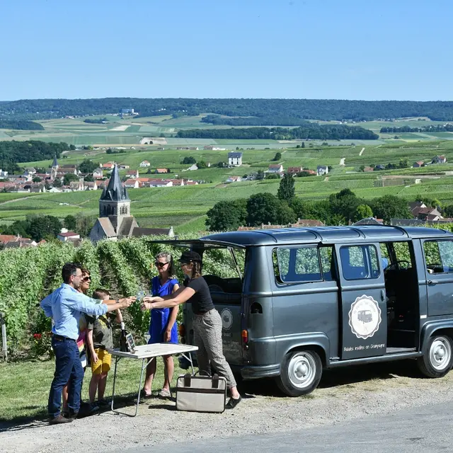 my-vintage-tour-degustation-vignoble