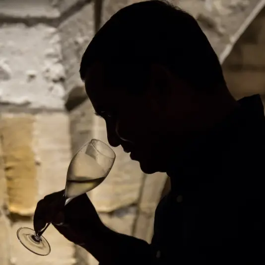 soiree-degustation-caves-medievales-chalons-oenologue