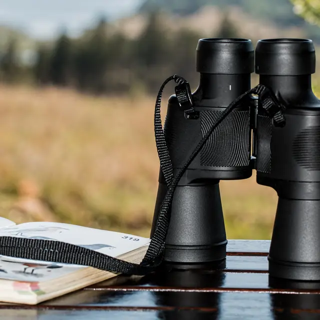 stevepb-binoculars-995779