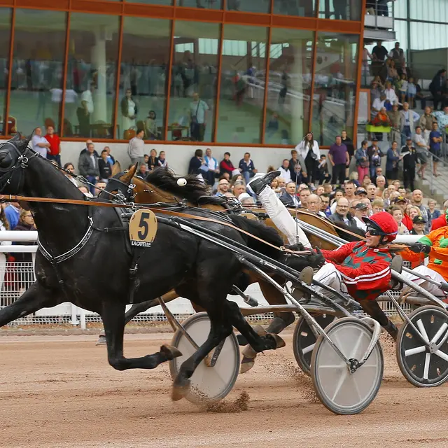 Dimanche 7 juillet 2019 -Epreuve du Trot à Grande Vitesse
