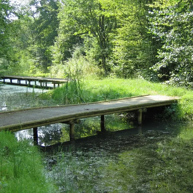 Val de Serre < Grandrieux < Thiérache < Aisne < Picardie < Hauts de France