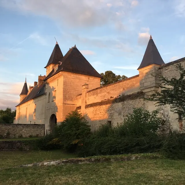 Chambres d'hôtes Le vieux château de Coyolles (2)