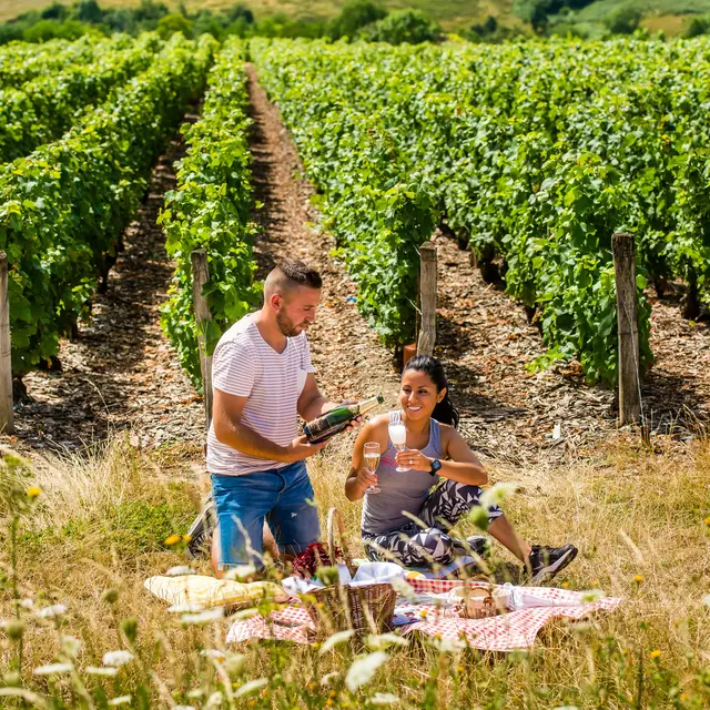 Pique_nique_vignoble_champagne@cambon (3)
