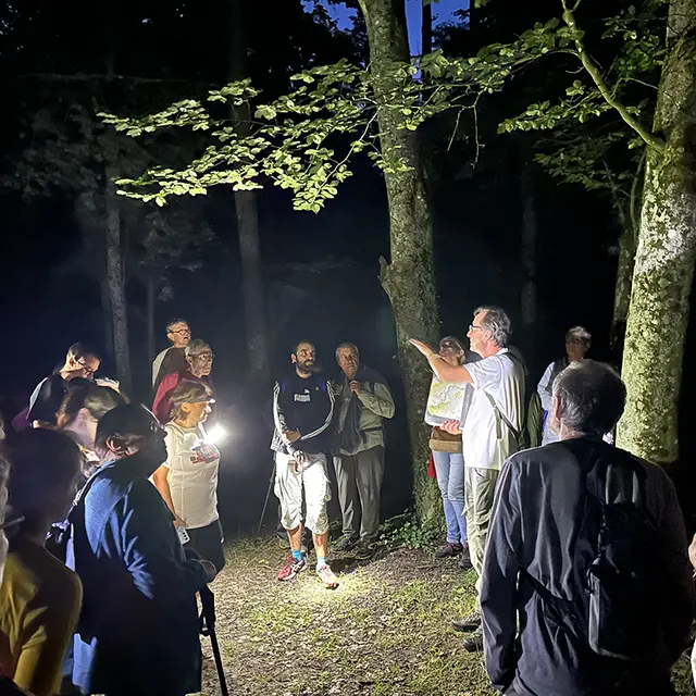 Rando nocturne I Chemin des Dames < Aisne < Picardie