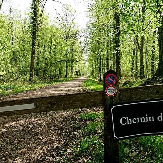 Forêt domaniale de Vauclair II < Bouconville-Vauclair < Aisne < Picardie