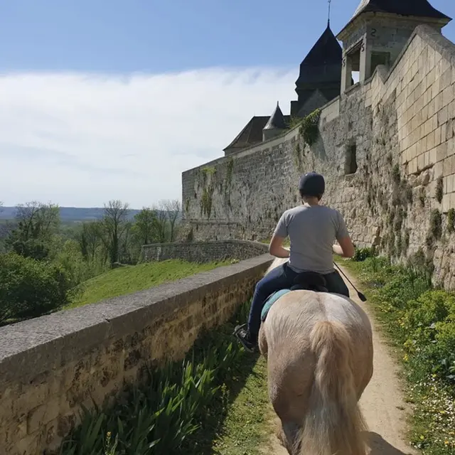 TOUT FER A CHEVAL