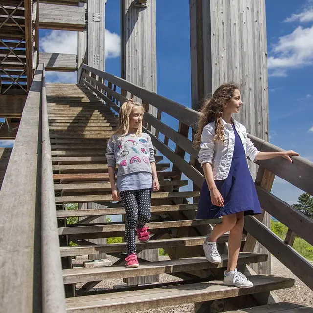 Tour Observatoire du Plateau de Californie