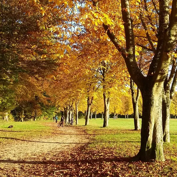 Parc du chateau de Villers-Cotterets à l'automne