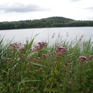 fere-en-tardenois-parc-des-bruyeres