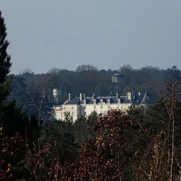 -Antonne_forêt_Lanmary_château