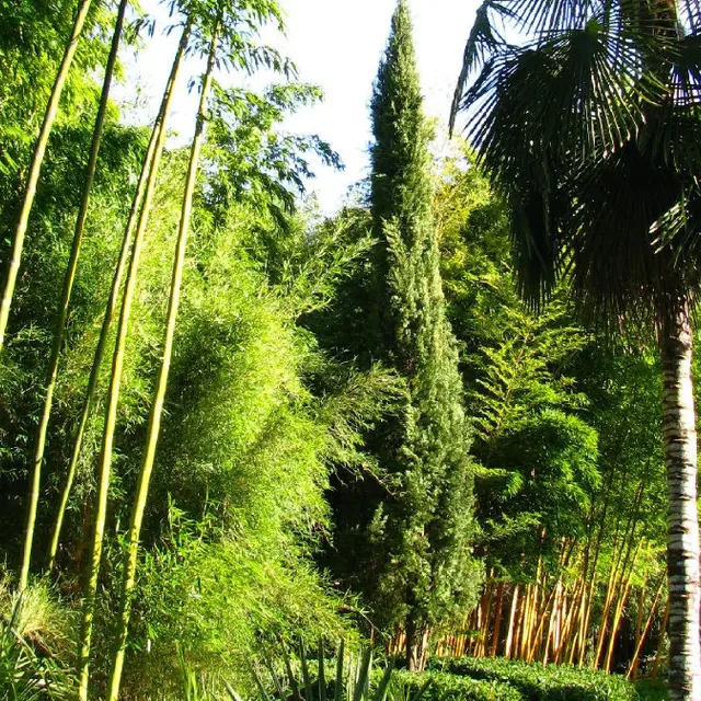 1-Jardin-de-PLANBUISSON