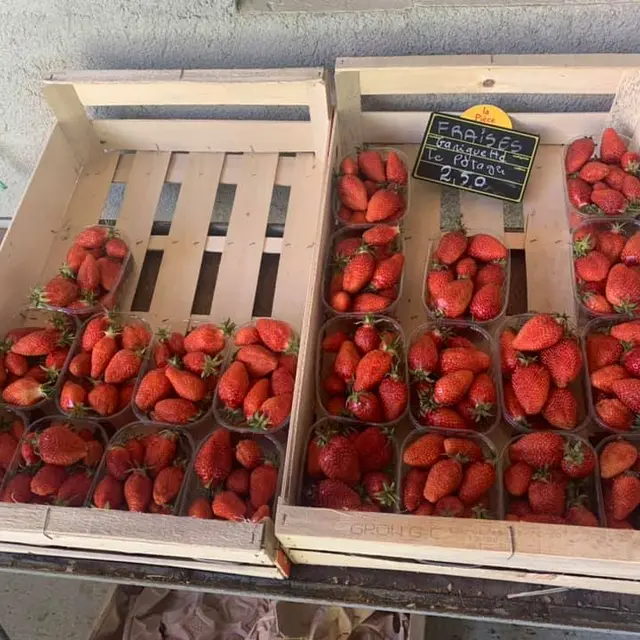 Le Potager de Bellevue