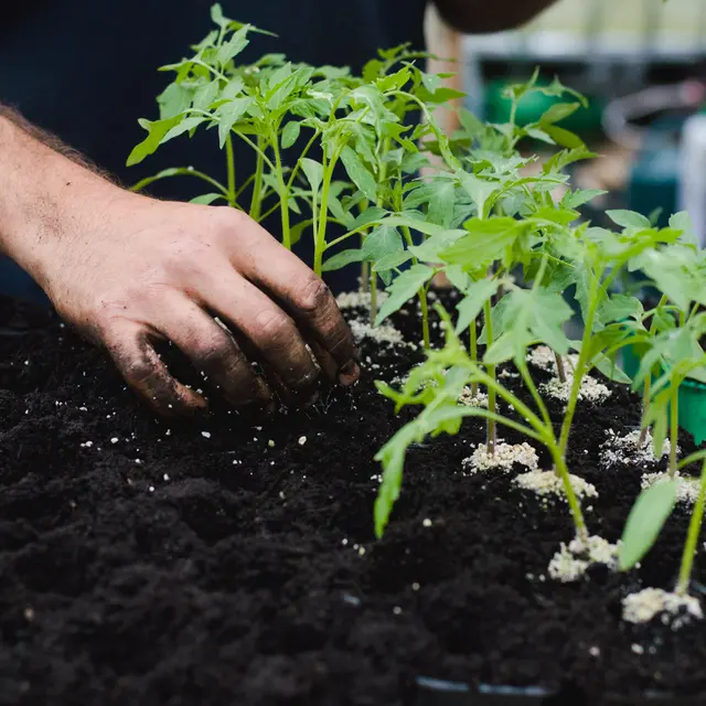 Potager Meyfrenie