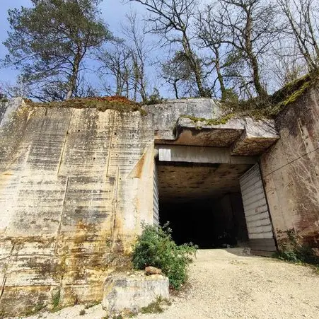 La Carrière aux Champignons