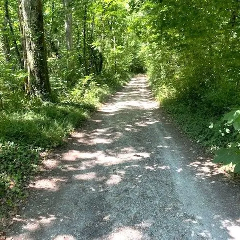 CHAMPCEVINEL-Boucle de Borie Petit-Chemin