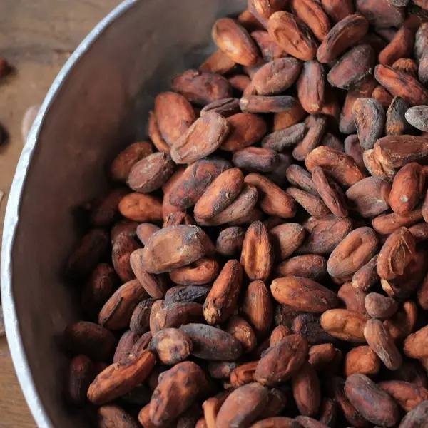 Cacao