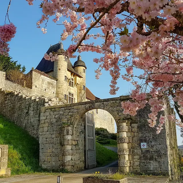 Château Excideuil prunus tel