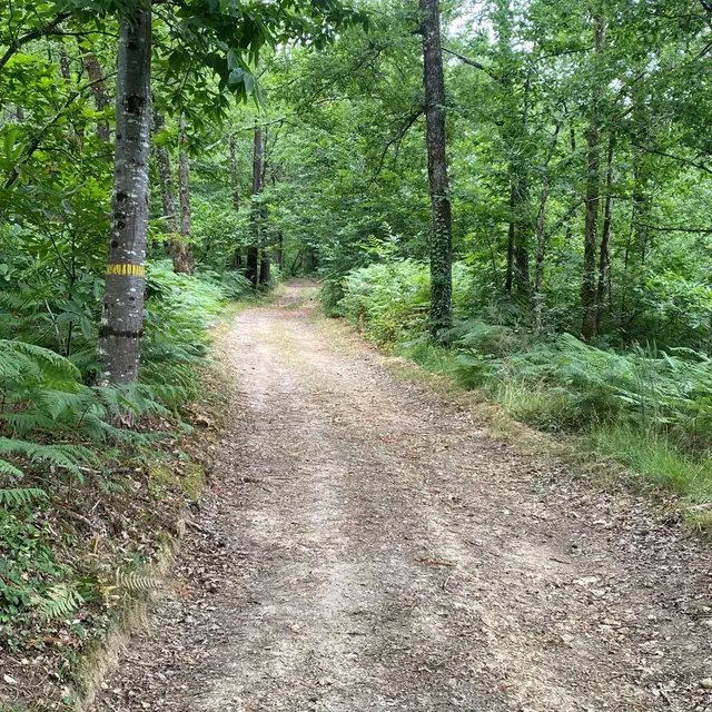 Circuit des Mottes Notre Dame de Sanilhac