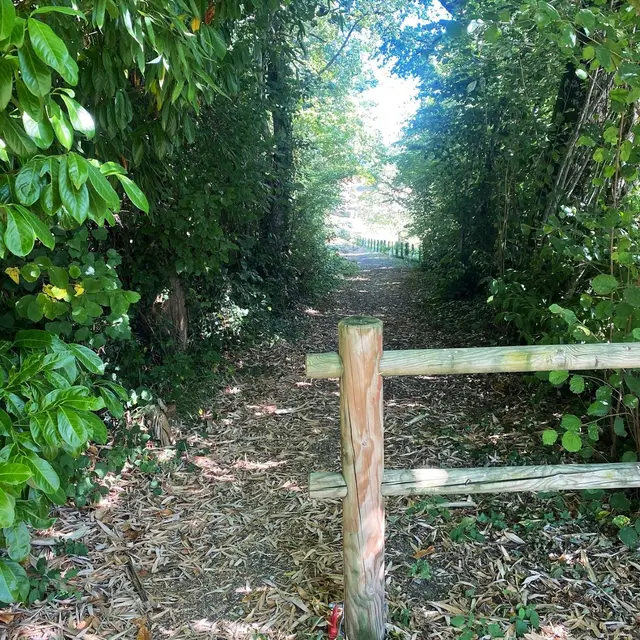 ATUR-Boucle Aturienne-Chemin