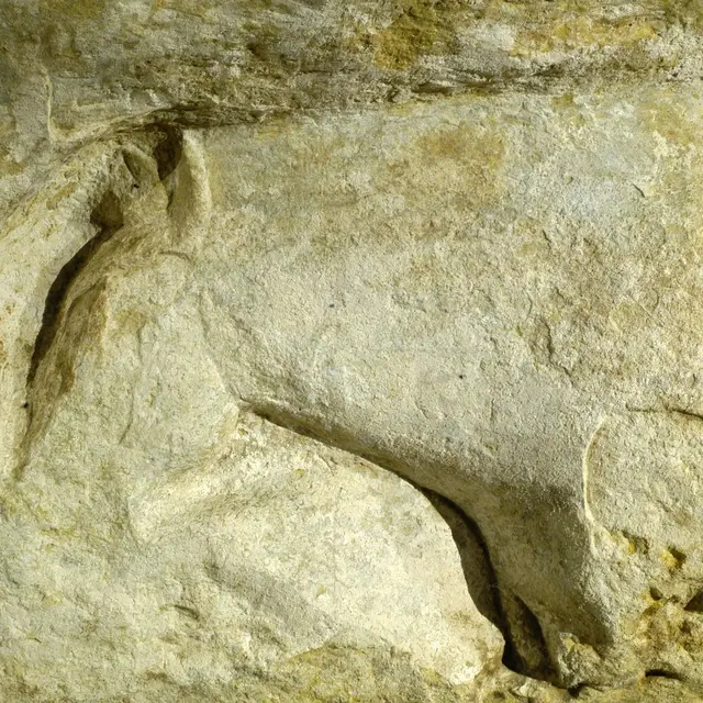 Abri du Cap Blance