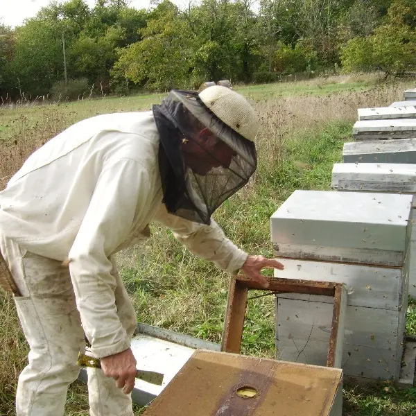 Apiculture Issac
