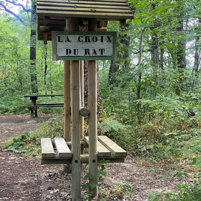 Boucle de la croix du rat Antonne et Trigonant1