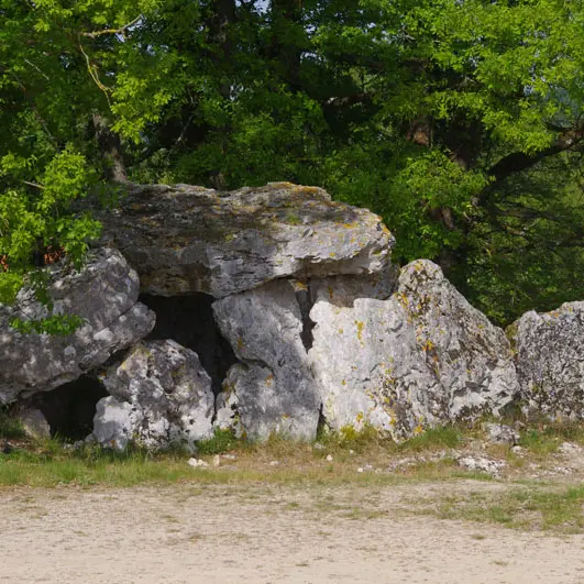 Dolmen_Nojals2