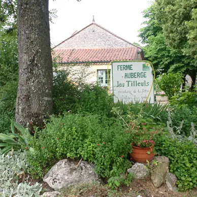 FA LES TILLEULS